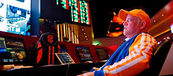 Вход на официальный сайт Casino Apex Spins